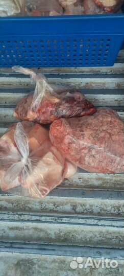 Лытка,рулька,ноги свиные,фарш и кости для собак