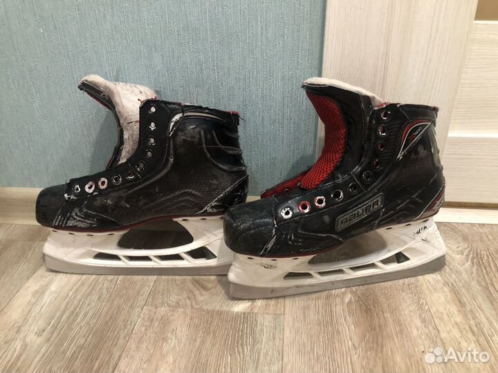 Коньки для хоккея с мячом bauer