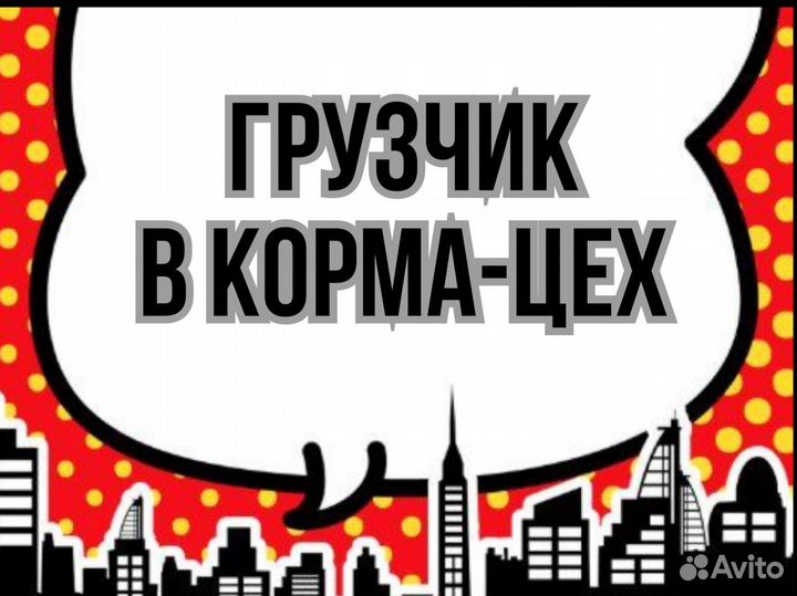 Грузчик в корма-цех (без опыта)