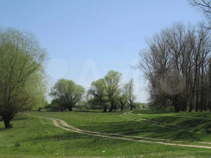 Участок 3,3 га (ИЖС)