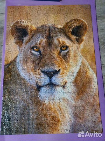 Пазлы 1000 деталей