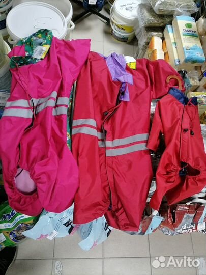 Одежда для собак