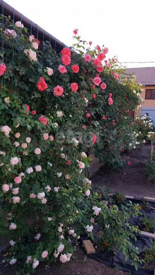 Дом 91,2 м² на участке 3,5 сот.