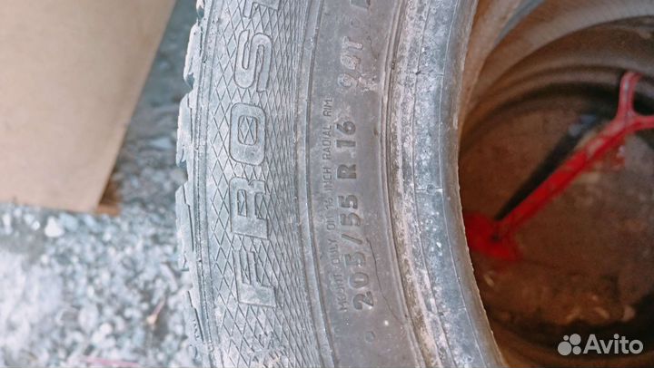 Gislaved Euro Frost Van 205/55 R16