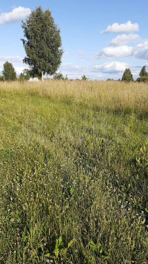 Участок 33 сот. (ИЖС)