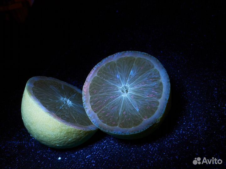 Ультрафиолетовый полноспектровой фотоаппарат Nikon