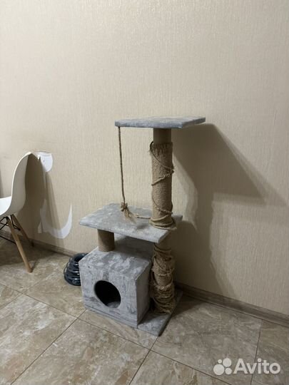 Когтеточка