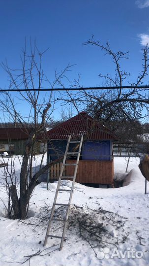 Обрезка плодовых деревьев