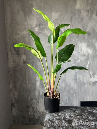 Банановая пальма искусственная