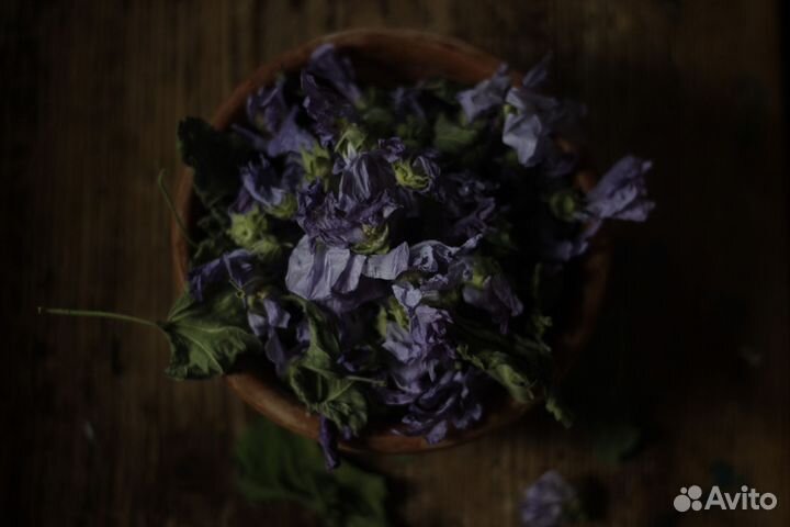 Мальва (травяной чай)