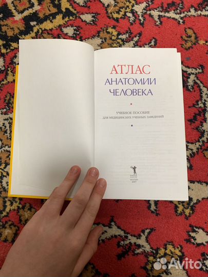 Атлас Анатомии Человека