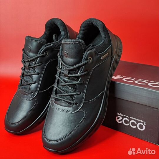 Стильные Ecco Biom