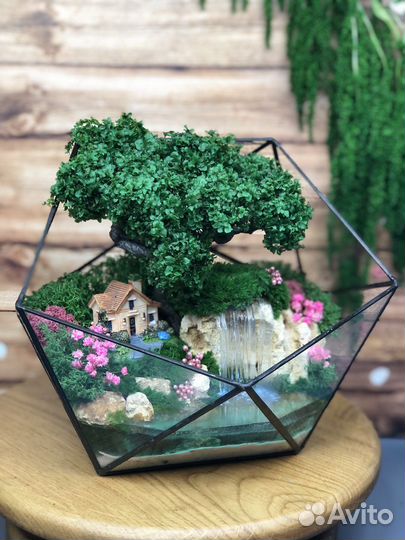 Моссариум с домиком