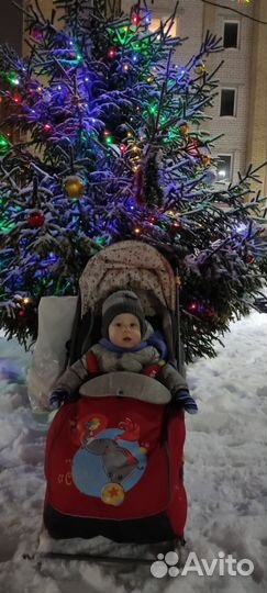 Детские санки коляска