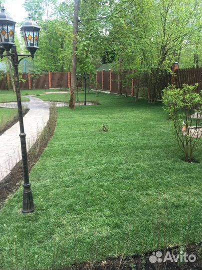 Укладка рулонного газона стандарт