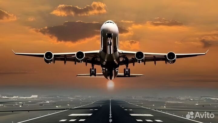 Упаковщик бортового питания в аэропорт