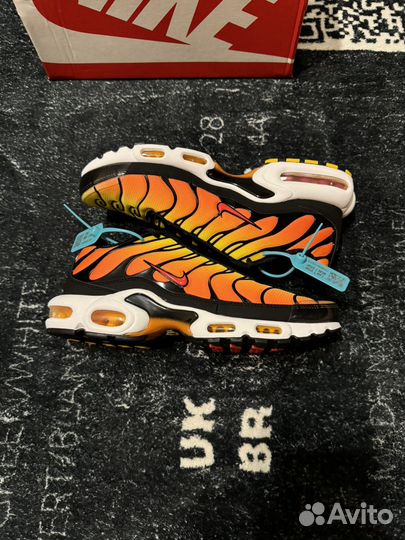 Nike Air Max Tn Plus