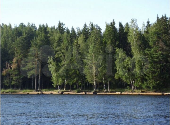 Участок 50 сот. (ИЖС)