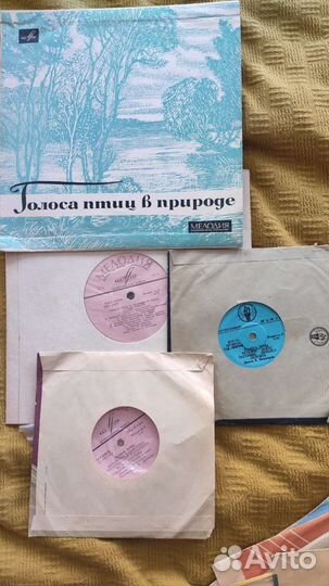 Виниловые пластинки СССР пакетом