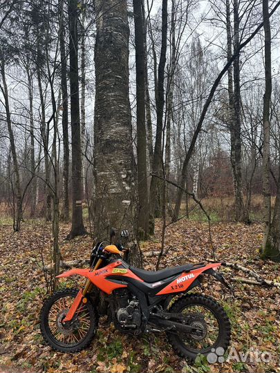 Эндуро minsk x250