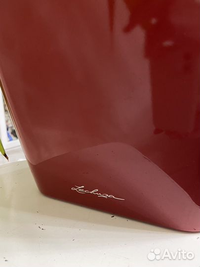 Пальма юкка большая