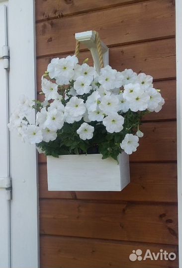 Кашпо для цветов