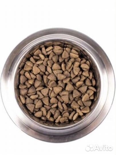 Monge hypo корм сухой