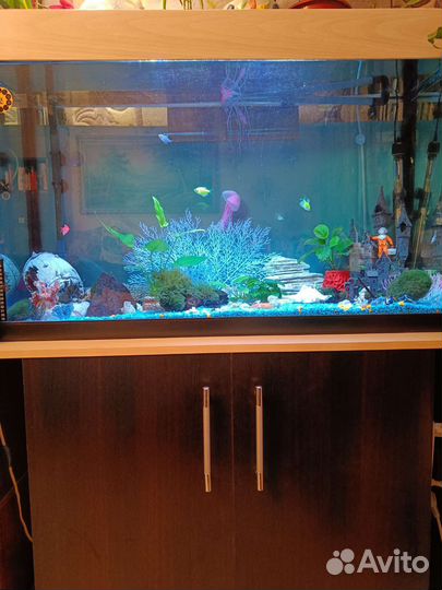 Аквариум с тумбой 200 литров и внешним фильтром