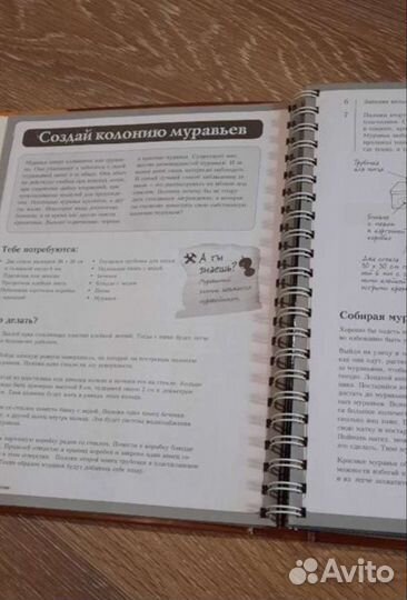 101 дело, которое нужно успеть сделать