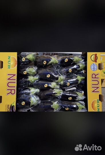 Поставщик продуктов и фруктов из Фуд Сити