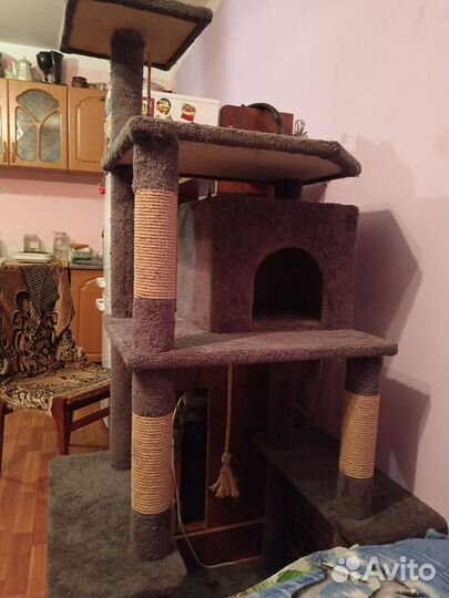 Когтеточка с домиком бу