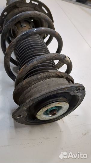 Амортизатор подвески Skoda Octavia (A7), 2016