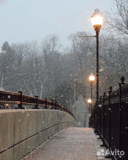 Картины по номерам