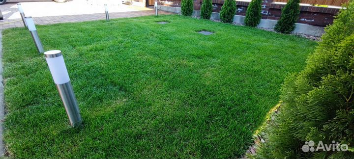 Рулонный газон/Укладка/Автополив