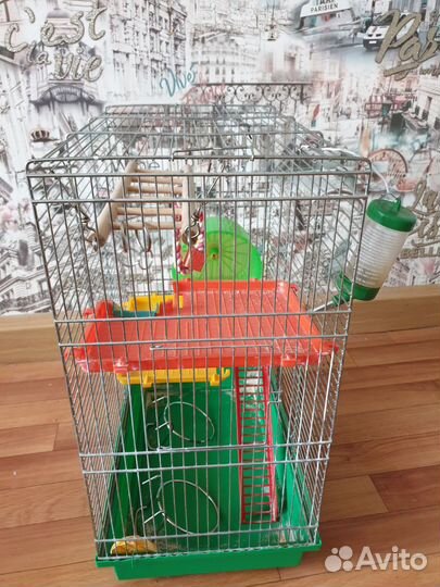 Клетка для джунгарского хомяка