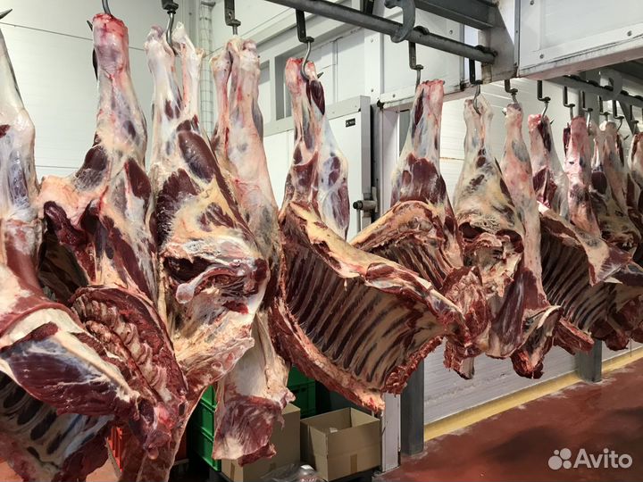 Свинина, говядина (быки, коровы) в тушах и п/т