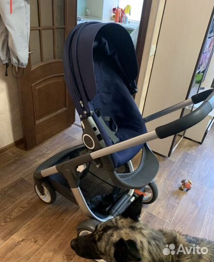 Коляска stokke crusi