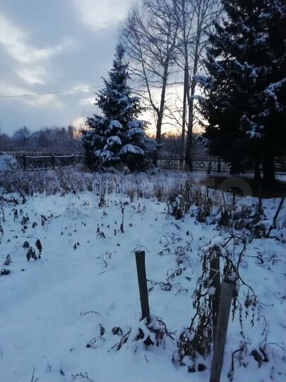 Дом 40 м² на участке 20 сот.