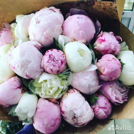 Букет пионов с доставкой