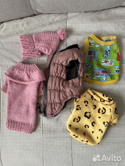 Все для маленькой собачки. 8 предметов