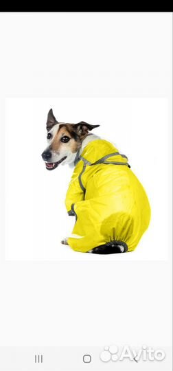 Дождевик для маленькой собаки. Размер М