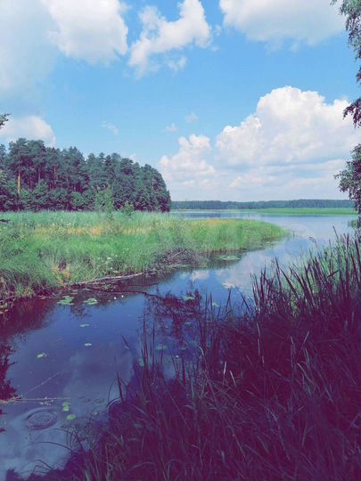 Дом 54,9 м² на участке 12,4 сот.