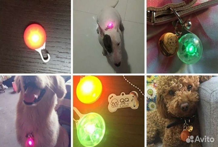 Брелок для собак