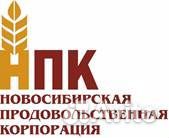 Начальник элеватора