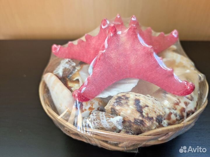 Морские ракушки со звездой новые