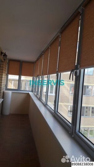 Зебра день ночь блэкаут