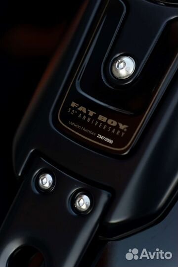 Harley-Davidson Fat Boy год 2020