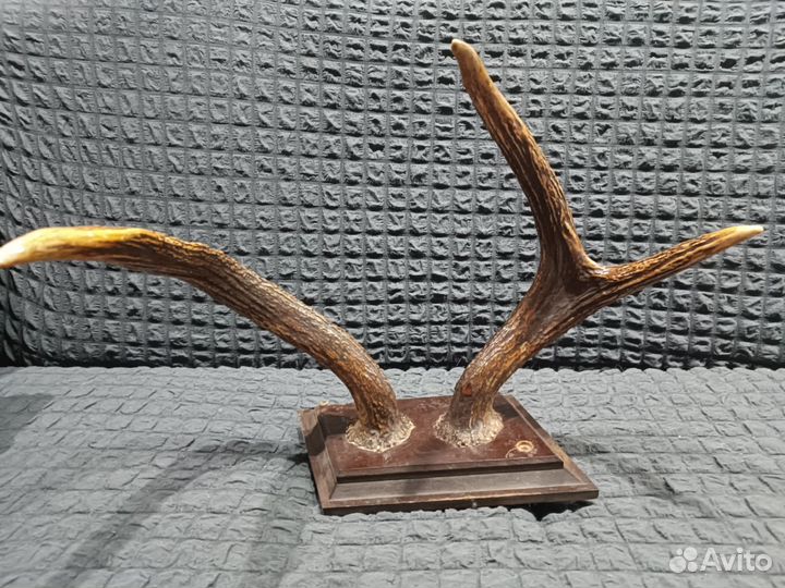 Оленьи рога