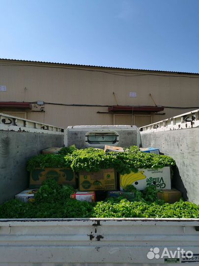 Грузоперевозки. Переезды. Грузчики