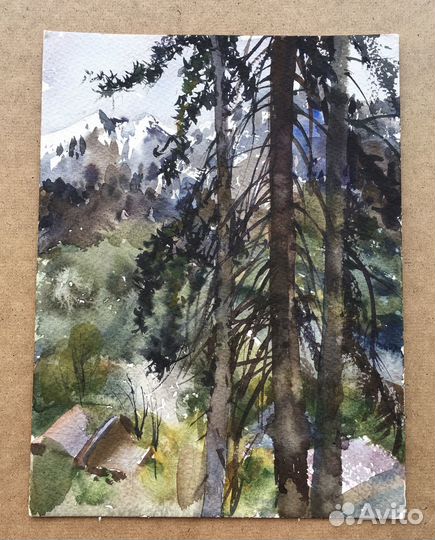 «Красная поляна»